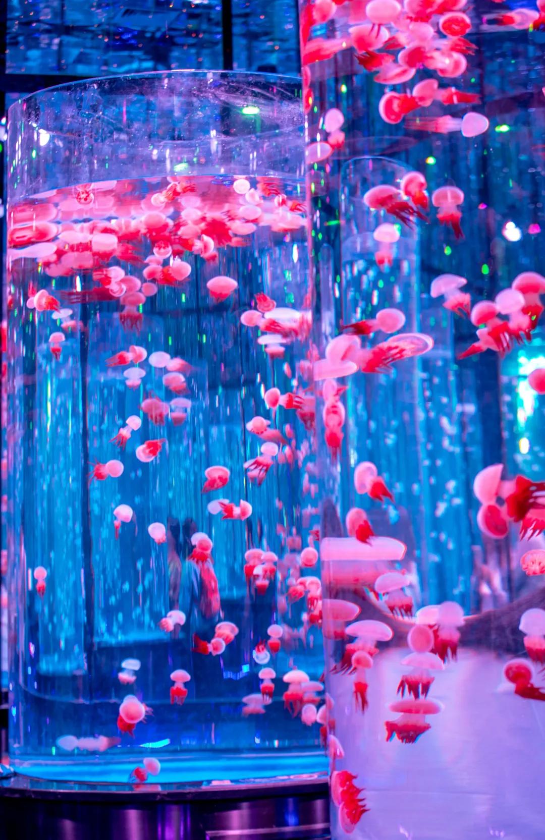 这个季节适合去济南哪旅游,济南十一假期游玩攻略