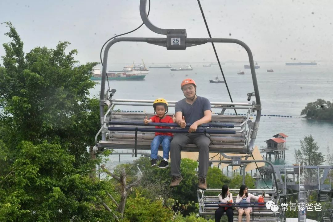 十一新加坡,十一游学新加坡