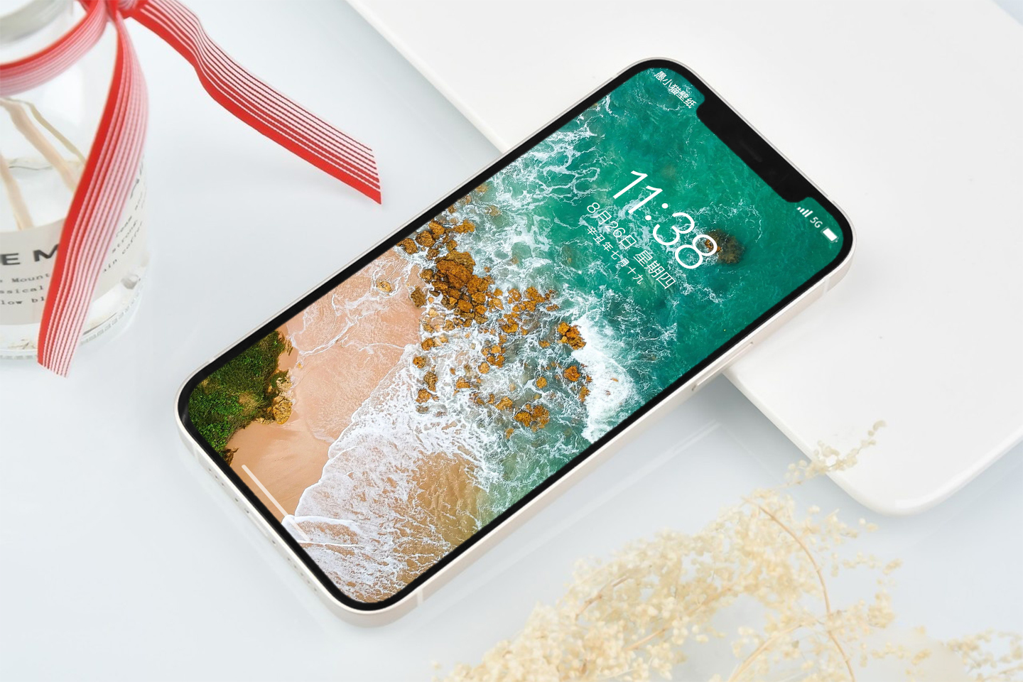 蓝天大海沙滩椰树图片高清壁纸,太阳蓝天大海海鸥的壁纸