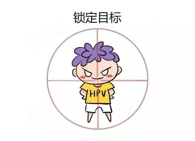 宫颈癌筛查承德,河北承德怎么查打过的hpv记录