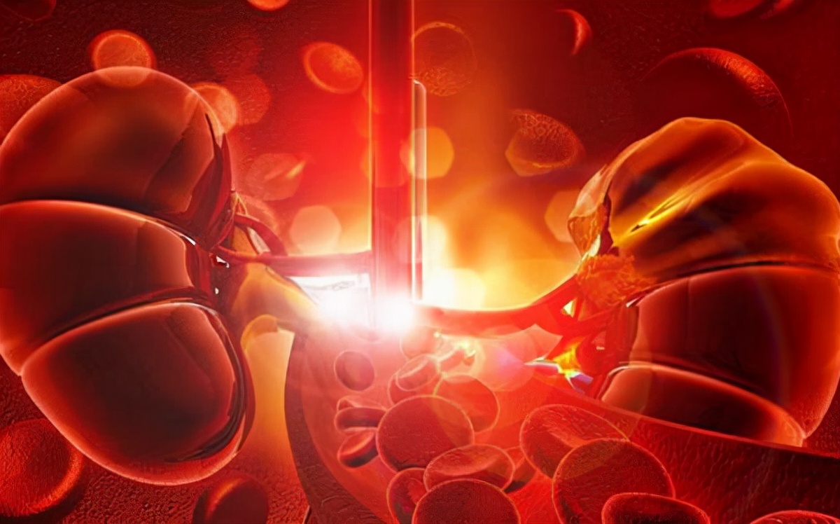 糖尿病肾病降肌酐最有效的药,糖尿病肾病降肌酐中草药方