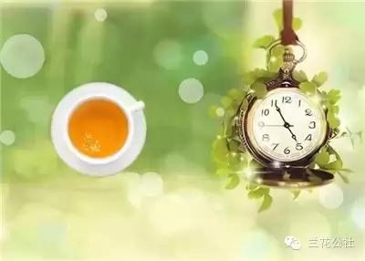 小青柑茶叶销售广告语,世界最经典茶叶广告语大全