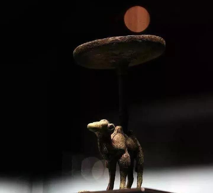 那些你绝对想不到的榨油作物，真是给古人的智慧跪了