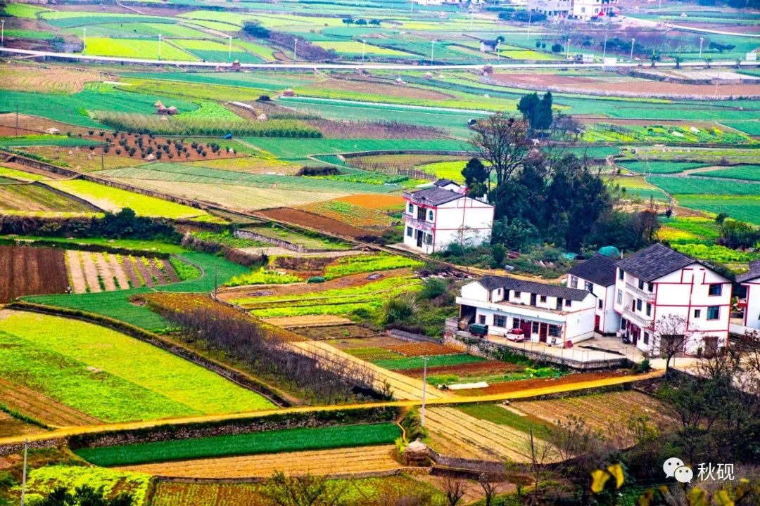 周游西南随记(六)弥蒙的万峰林