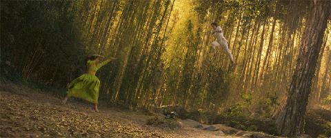 最新顶流阵容,全顶流阵容