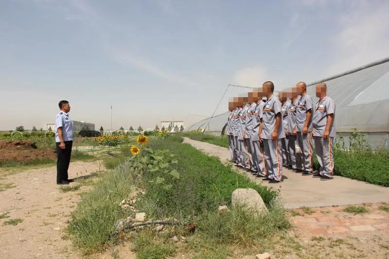 加强五项管理提升四质工程方案,加强五项管理落实双减政策