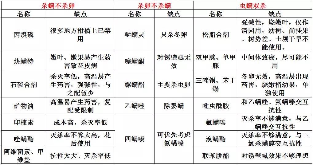 草莓用捕食螨真的能预防红蜘蛛吗,捕食螨和红蜘蛛肉眼怎么区别