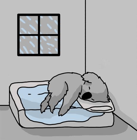 睡不着的人经典短句,睡不着的人请听的十句话