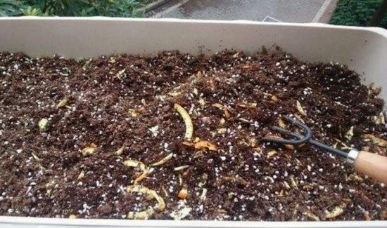 不臭花肥的制作方法,怎样自制肥