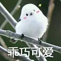 家长开放日必须要去吗,12月10号家长开放日需要准备什么