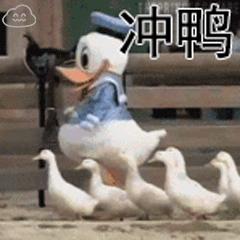 为一个糊榜斥百万巨资“搬家”，疯了吧？