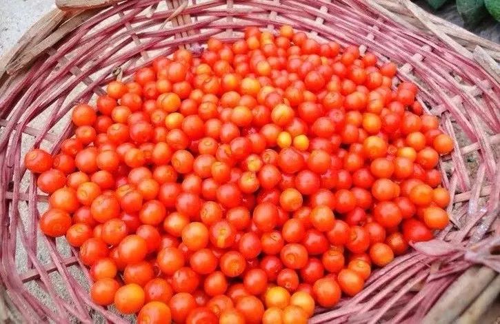 你心中的大山是什么,你心中的十堰是什么样的