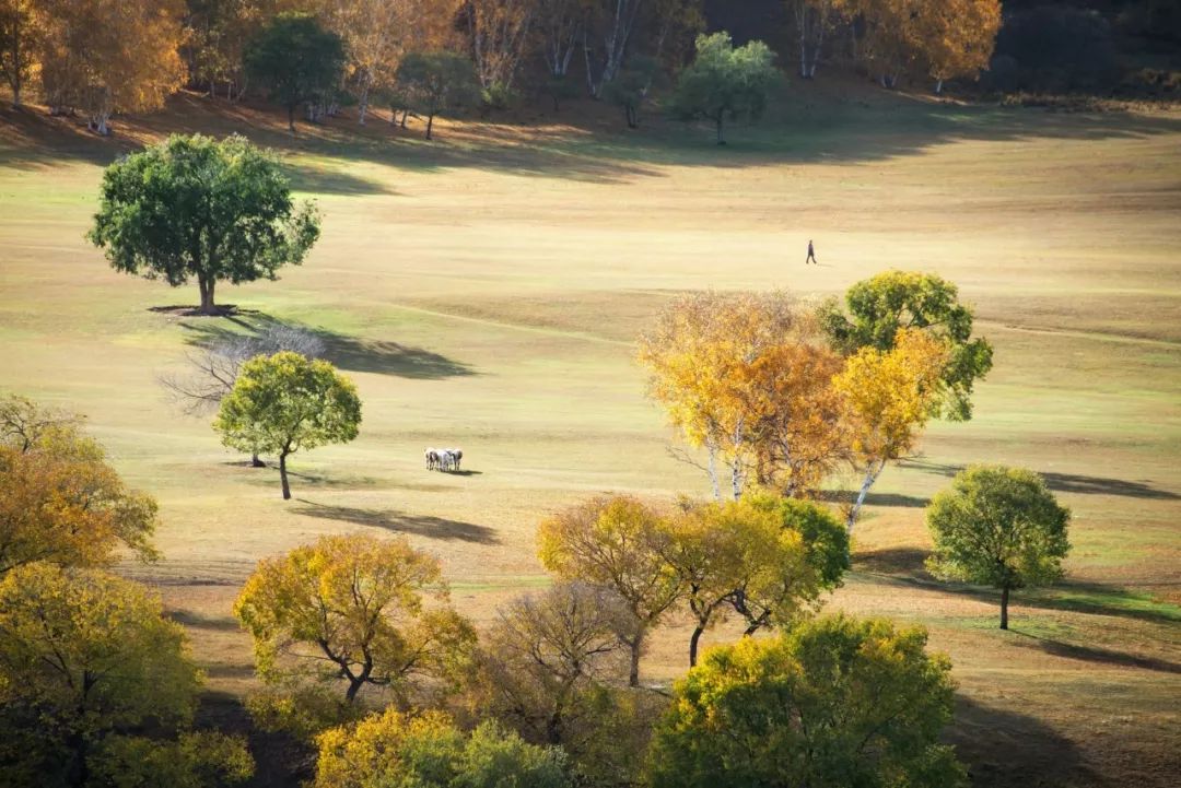 北京周边美丽的地方,初秋北京周边适合去的景点推荐