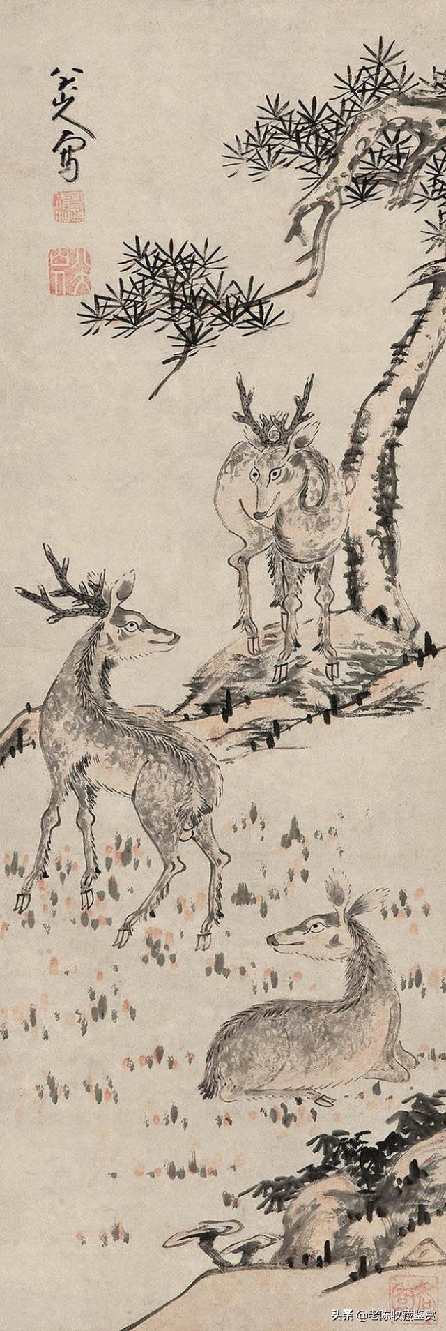 八大山人鹿图,八大山人松鹿图赏析