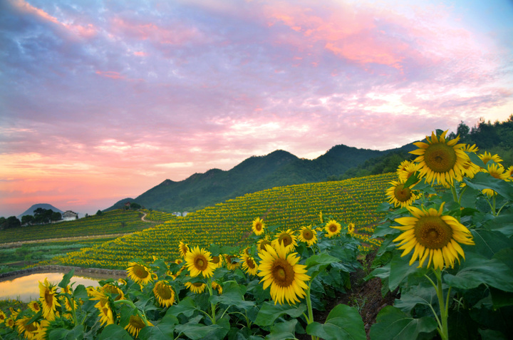 汉堡店经营管理技巧,汉堡店店长如何管理好一家店