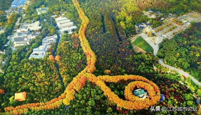 台湾学生拍电影,台湾mycity