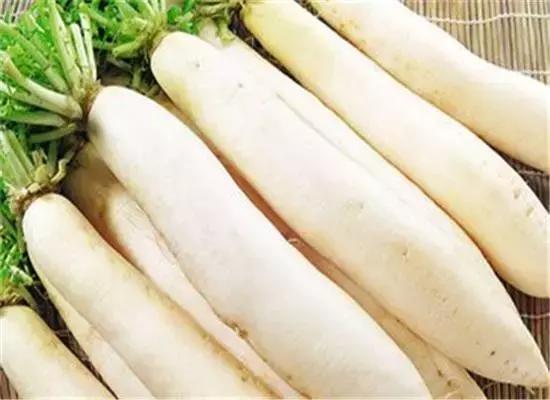 什么菜是有毒的但老百姓都在吃,浙江人警惕这3种菜有毒千万别吃