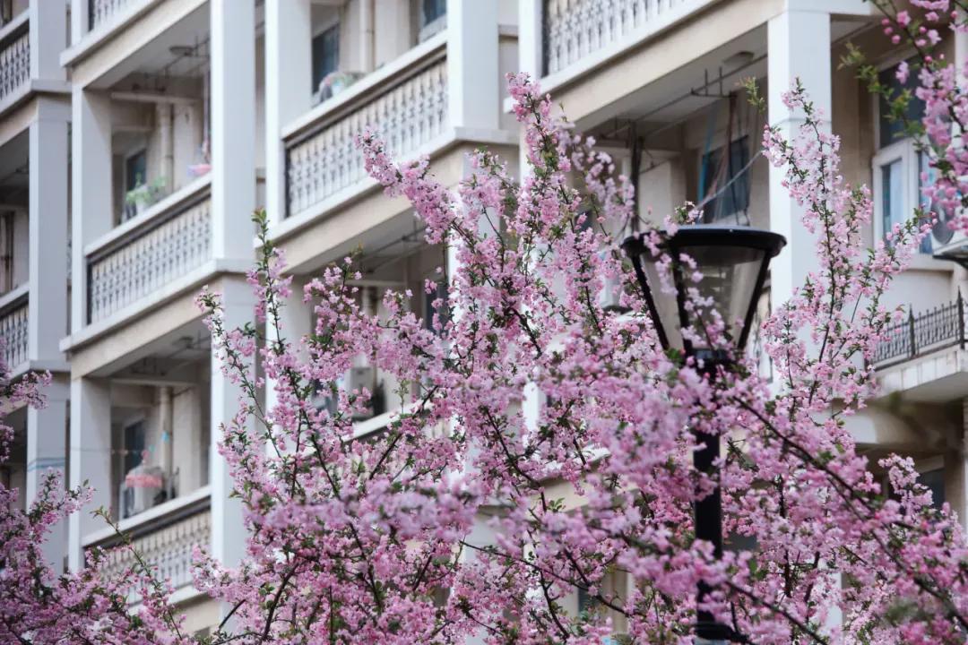 江苏财经大学,南京财经大学双非院校排名