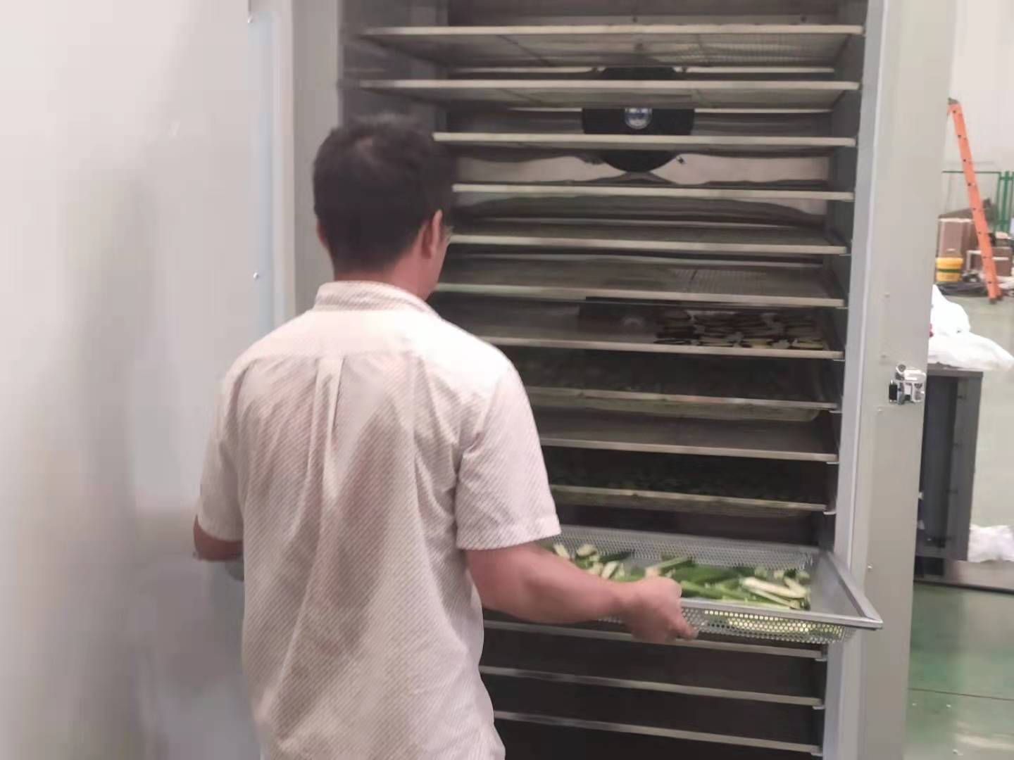 食品烘干箱工作,食品烘干设备箱怎么用