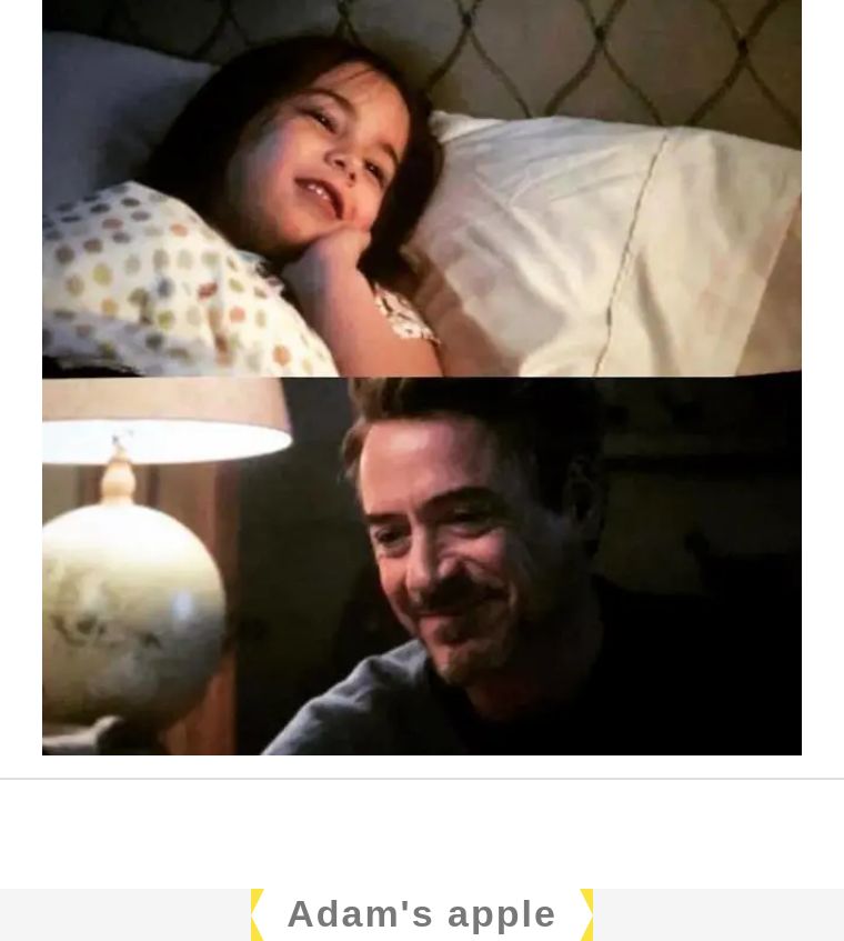 凤梨和菠萝什么区别图片,金钻凤梨与菠萝的区别