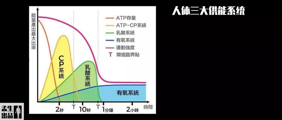 比肌酸更好的补剂,最棒的补剂肌酸的全面指南
