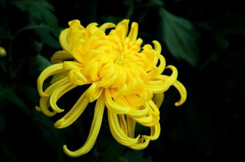 专家讲甲醛的危害,专家谈室内装修甲醛的危害