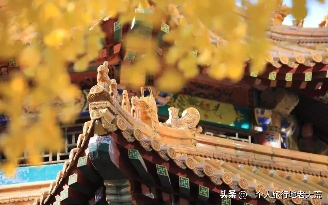 厦门海滨老城旅游,厦门最美海滨城