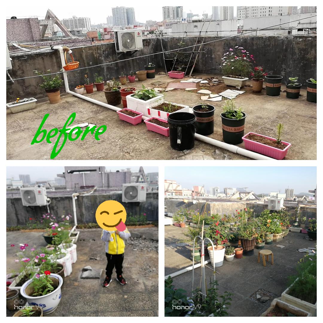 小楼花园0-1养成记