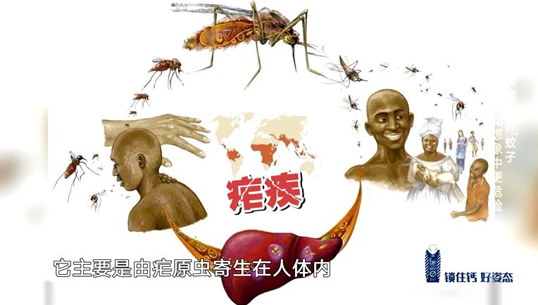 蚊子叮人会把人叮醒吗,蚊子叮人会吐旧血吗