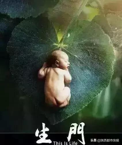 全国首例母亲移植子宫给女儿,首例母亲子宫移植给女儿