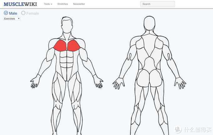 国外免费的影视网站app,国外十大顶级免费电影网站