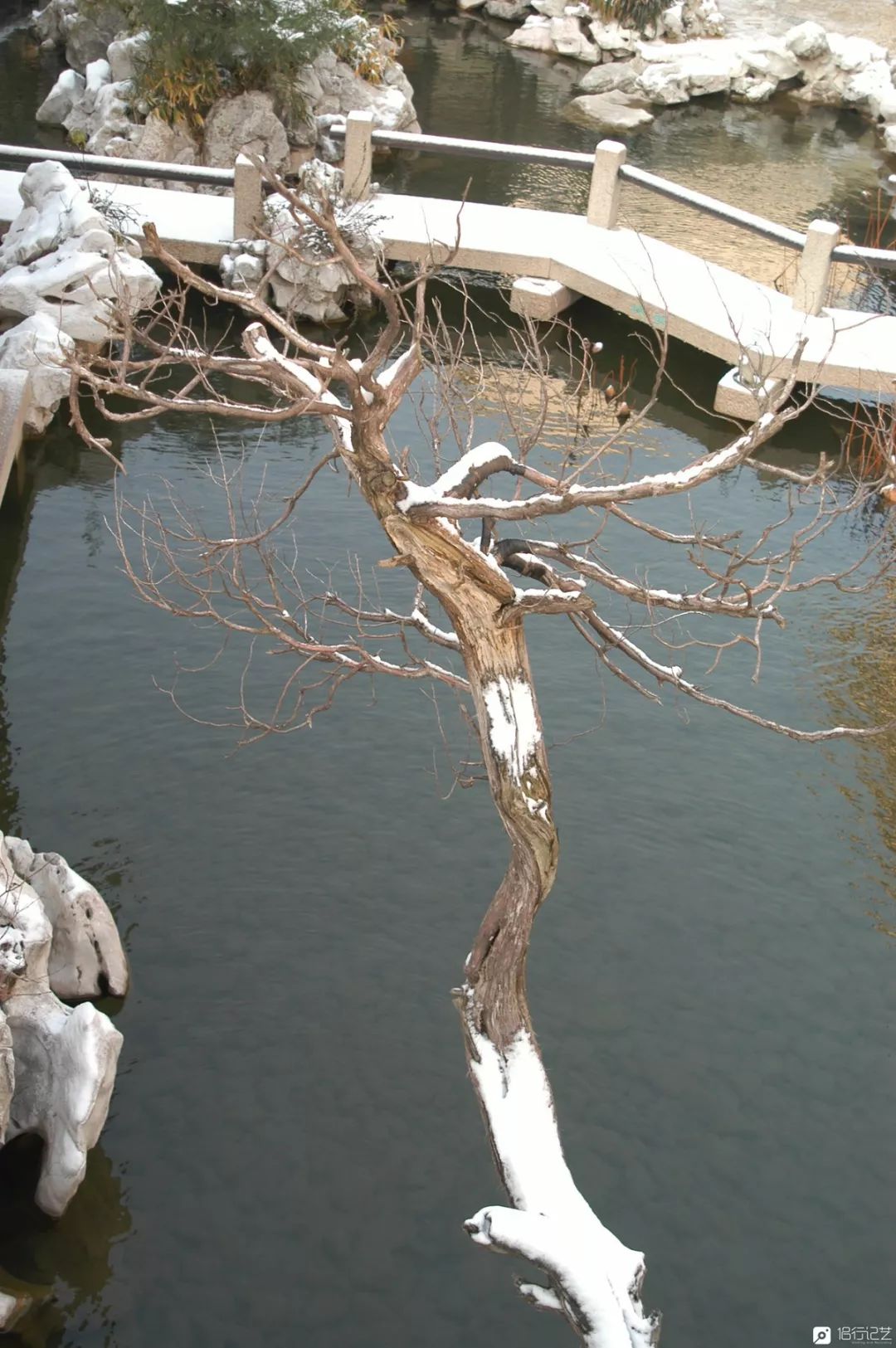 大叔花700万建的花园别墅,太湖石苏州