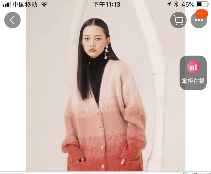 商品涉嫌仿冒或与大牌商品相似,商品疑似仿冒