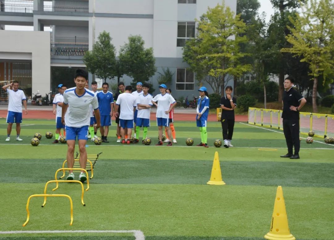 派迪茵体育用品有限公司,派迪茵体育有限公司