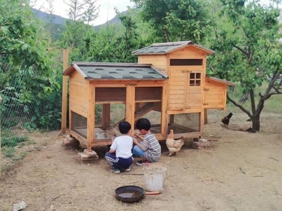 北京附近有什么亲子农场适合遛娃,北京亲子游玩农场推荐地点有哪些