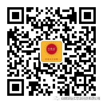 粮食小米的功效和作用,鲁村小米的营养价值