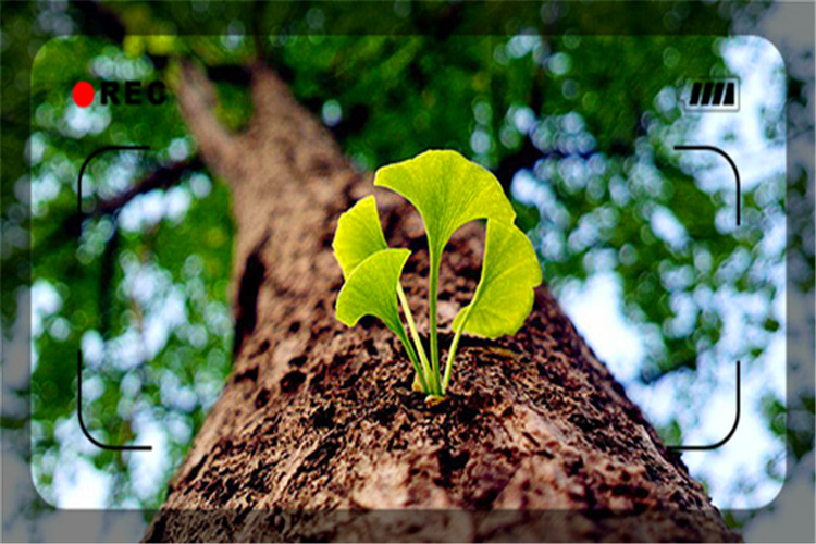 创业失败负债累累无路可走,创业失败了负债累累如何走出迷茫