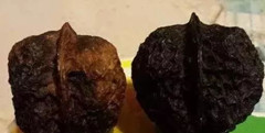 文玩核桃阴皮与反油的区别,文玩核桃反油了怎么办