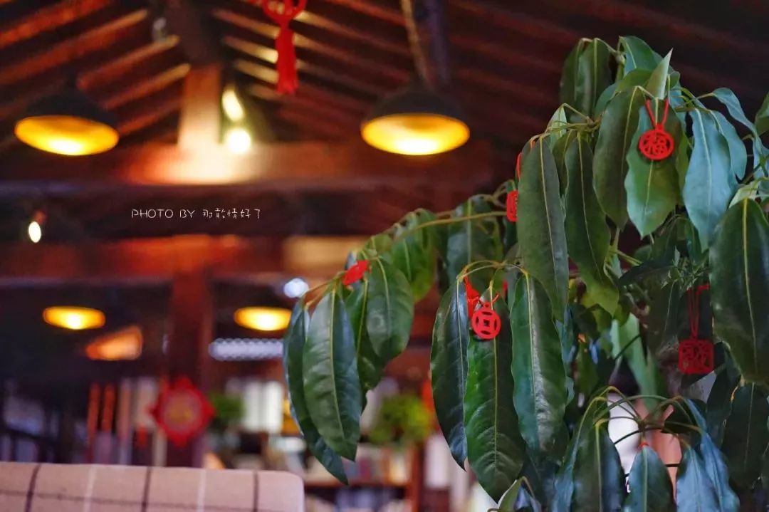 故宫北边的胡同里藏着本地人都不知道秘境酒店,外国人抢着住