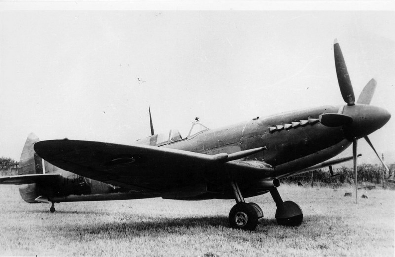 飞行员报告：性能怪兽，安装“兀鹫”发动机的另类“喷火”