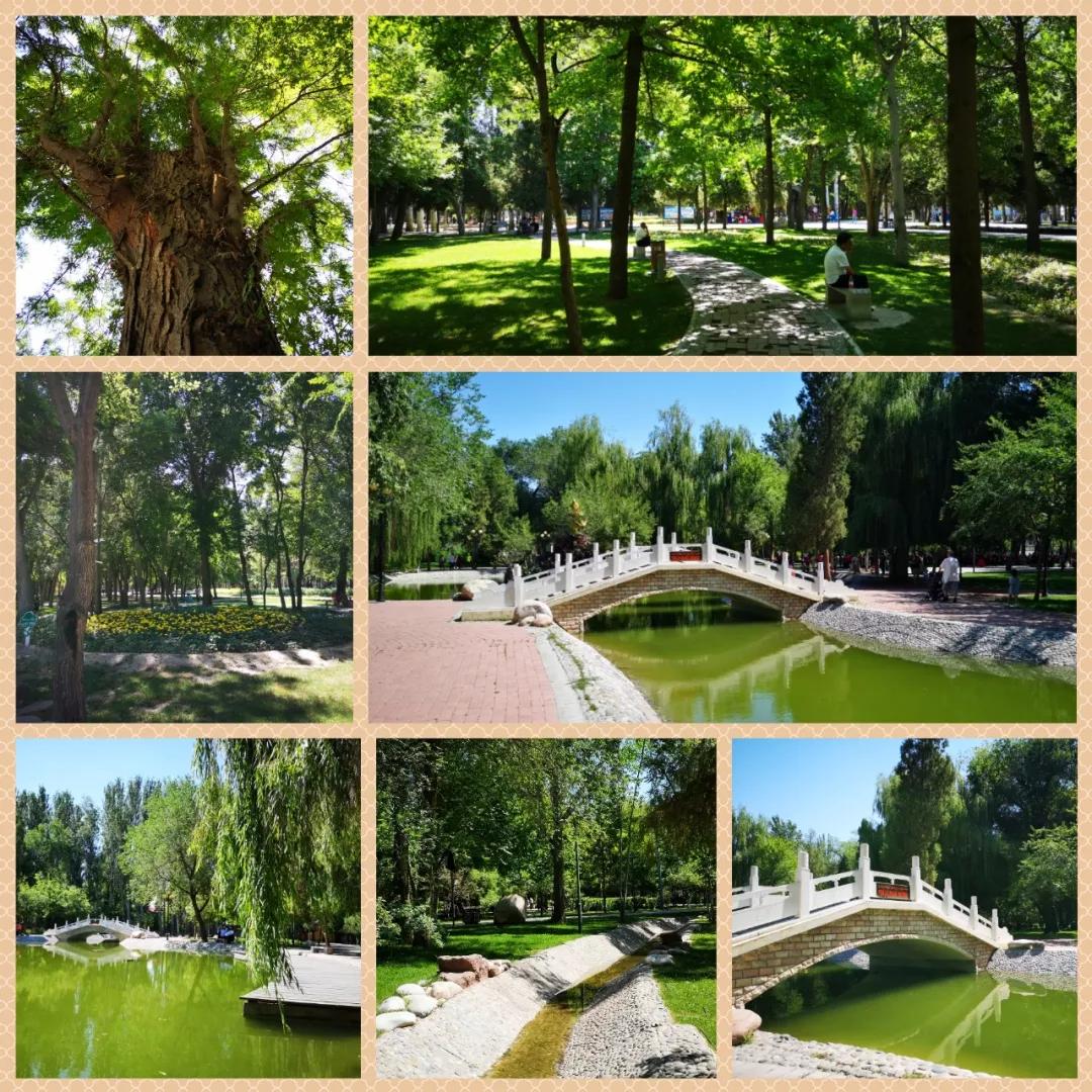 中国最适合慢生活的小城伊宁市,闲适安逸,住下就不想走了