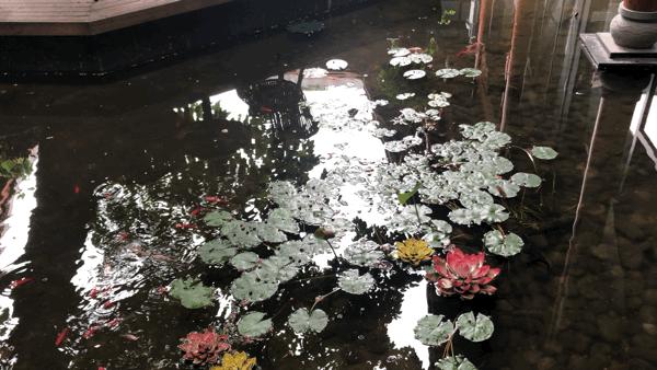 峨眉山下民宿推荐网红,峨眉山下避暑的民宿