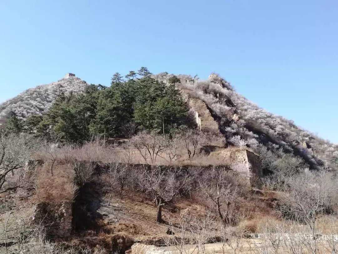 京郊四月美景,京郊四月