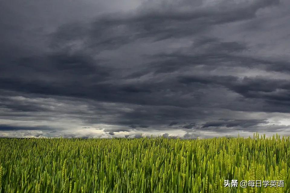 “下雨天”只会说“arainyday”?未免也太单调了