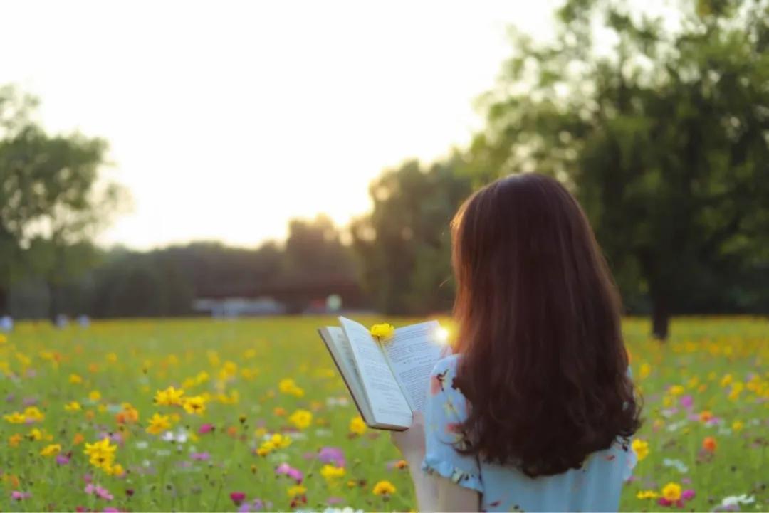 最新语文高考作文素材积累大汇总,高考语文作文大全最新