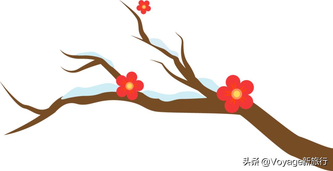 挑战21世纪最低温！我们为你盘点了比“泼水成冰”更美的冬日限定