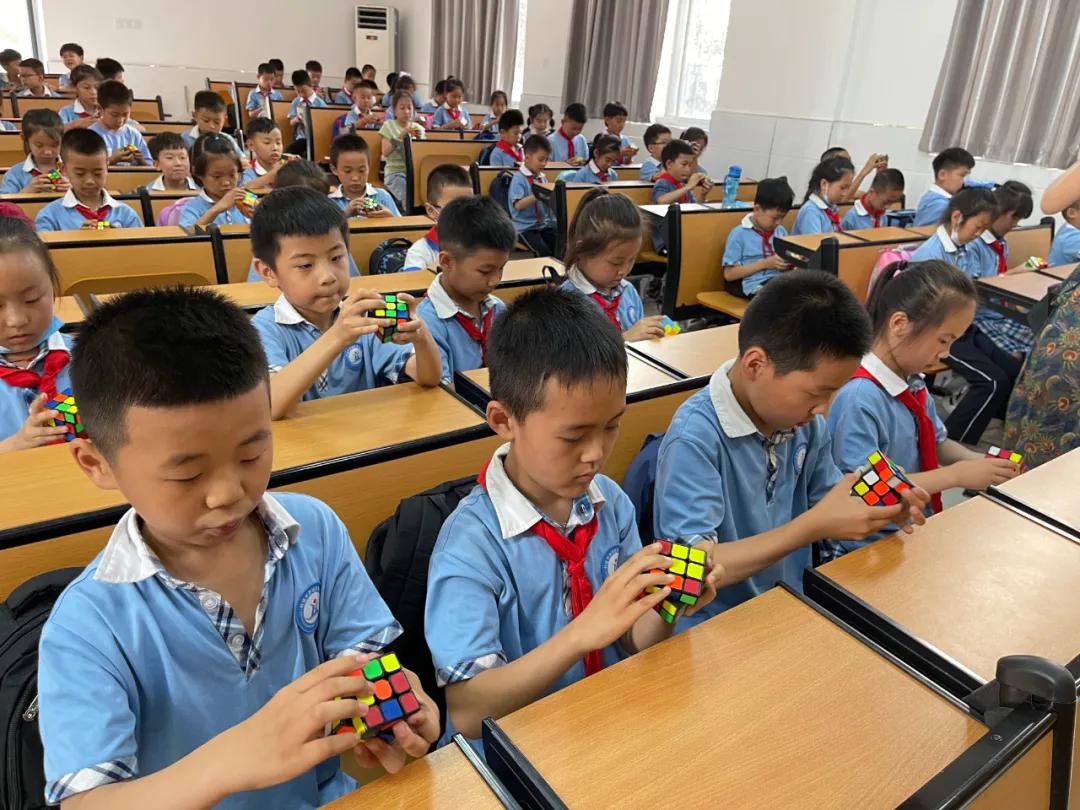 双减课后孩子学什么,双减教育下的校园生活