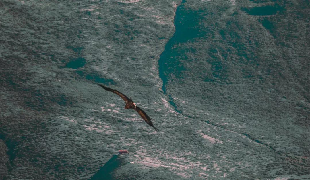 川西若尔盖自驾游地图,若尔盖色达稻城旅游攻略