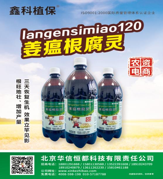 种植生姜病害防治方法是什么,生姜姜瘟病害的预防措施