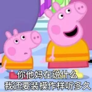 多国争拍的爆款，我们又要毁个稀巴烂